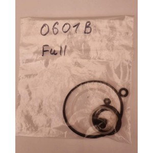 0601B Комплект уплотнителей (Seal Kit)